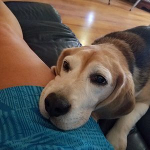 Meet your Posher, Susan